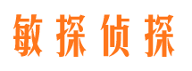 林西侦探公司